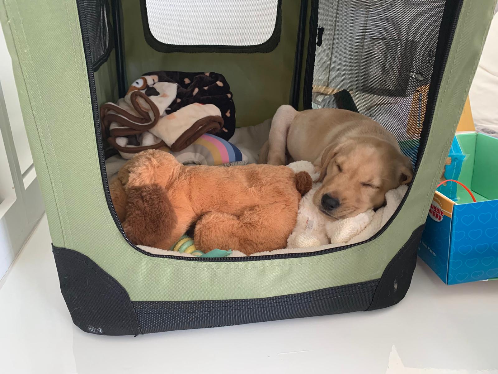 Reverse board and train