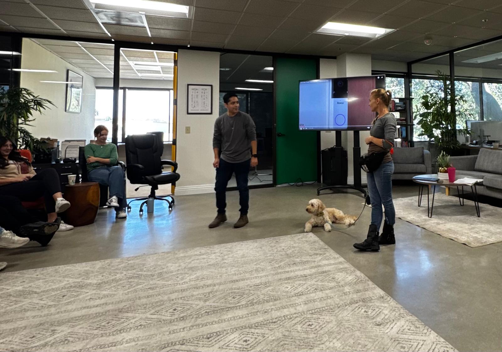 Private dog training session